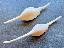 2x Volva volva große