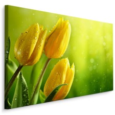 Leinwand Bild CANVAS