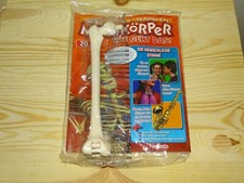 Mein Körper wie geht das