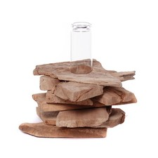 TREIBHOLZ REAGENZGLAS VASE