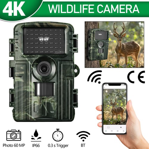 1080p 60mp wildkamera - 1080p,