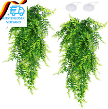 Hängepflanze Terrarium