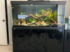 aquarium 200 liter