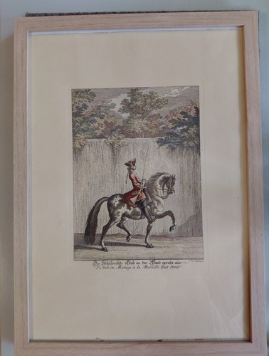 Johann elias ridinger - elias, druck