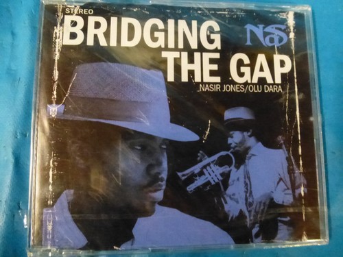 Bridging the gap nasir jones - nasir,