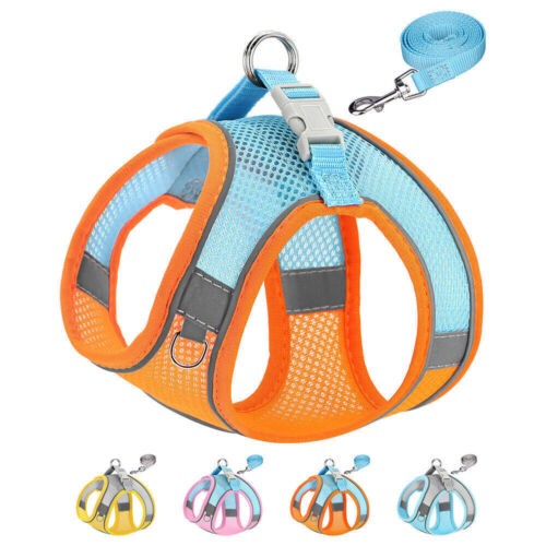 Hundegeschirr set kleine - set,