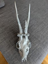 Geweih Gehörn Reh Rehbock Rehgehörn Zähne Silbern Disco Deko Popig Weihnachten