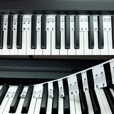 88 Key Full Size Piano Rake