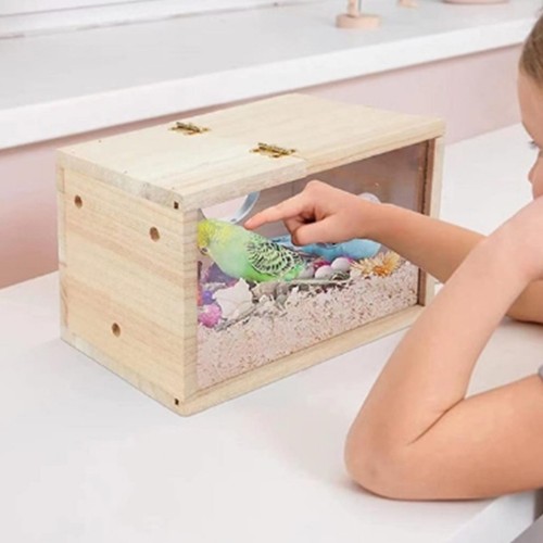 Bunte vogelvilla für - bunte,