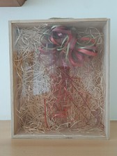 Flaschenbox Geschenkverpackung Holzbox Weinbox Wein Flasche Präsentbox rustikal