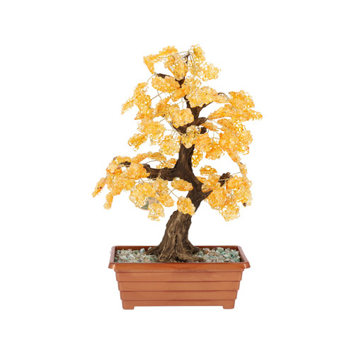 Baum des lebens bonsai mit - lebens,