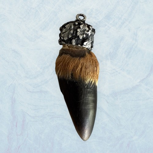 Charivari scharivari reh huf - charivari,