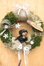 Türkranz Hund natur Frühling