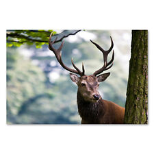 Postereck 1297 Poster Leinwand