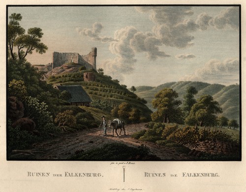 Trechtingshausen falkenburg - trechtingshausen,
