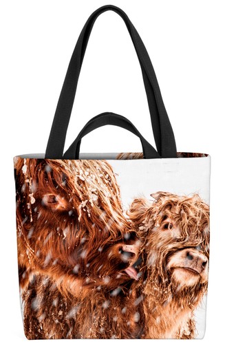 Hochlandrind rinder tiere - rinder,