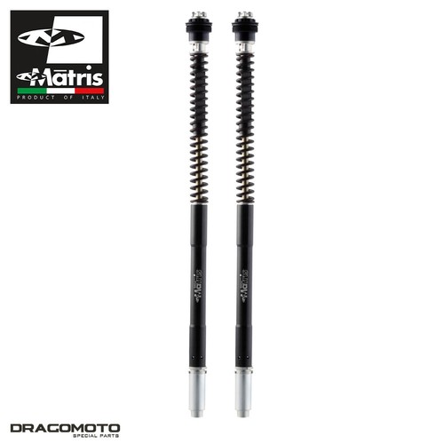 Gabel kit kawasaki - kawasaki, 636