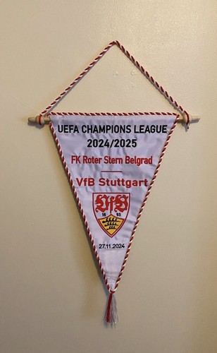 Vfb stuttgart crvena zvezda - vfb,