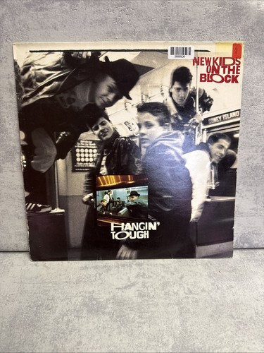 Vinyl new kids - lp, the