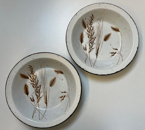 Midwinter stonehenge wild oats - stonehenge,