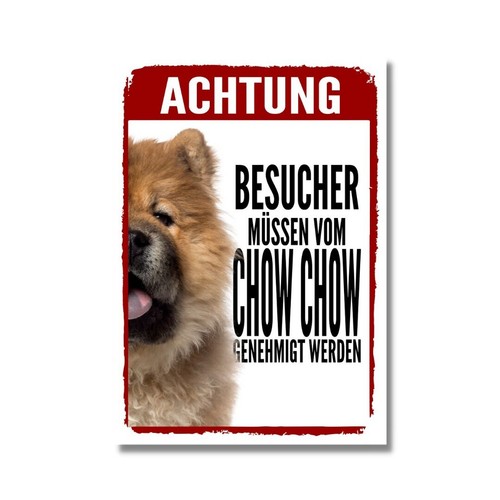 Chow genehmigung dog - chow,