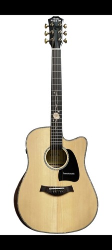 Acoustic guitar transacoustic - acoustic,