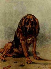 A4 Foto Graf Maud 1864 1943