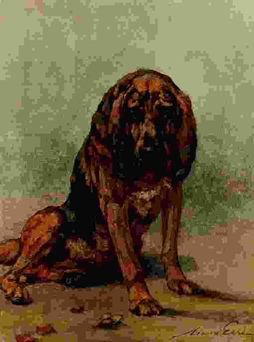 Foto graf maud 1864 1943 - foto,