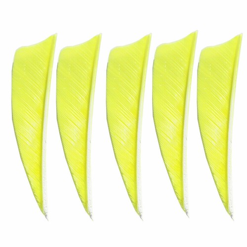 Zoll pfeilfedern naturfedern - 3,