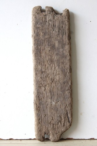Treibholz schwemmholz - treibholz,