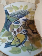 SONG BIRDS - SING VOGEL -