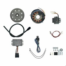 Lichtmaschine + elektronische