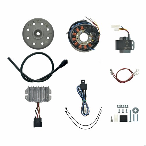Lichtmaschine elektronische - +,