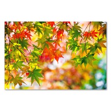 Postereck 3836 Poster Leinwand