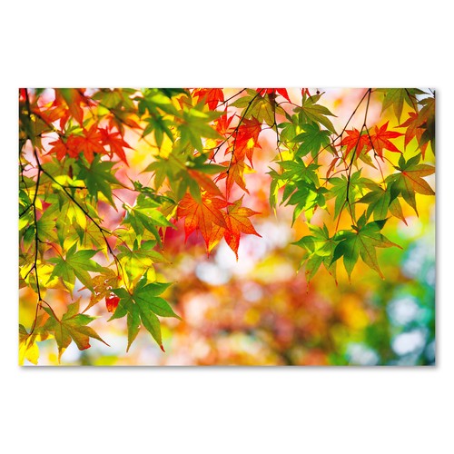 Postereck 3836 poster leinwand - 3836,