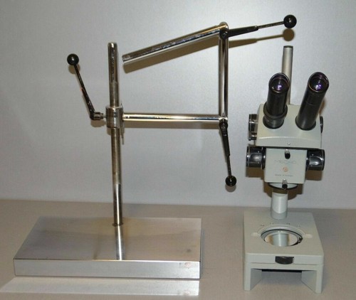 Mikroskop mit tisch - mikroskop, tisch,