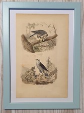 1852 Lithographie Kunstdruck