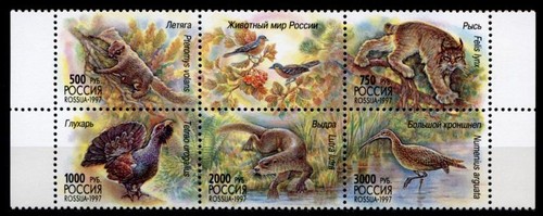 Fauna luchs auerhahn - fauna.,