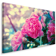 CANVAS Leinwand Bilder XXL