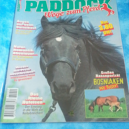 Zeitschrift paddock wege zum - zeitschrift:,