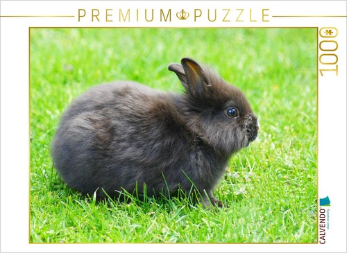 Calvendo puzzle schwarzes - calvendo,