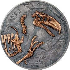 Aves, Evolution of Life, 500