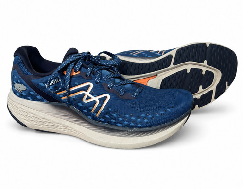 Blaue karhu mestari run - mestari,