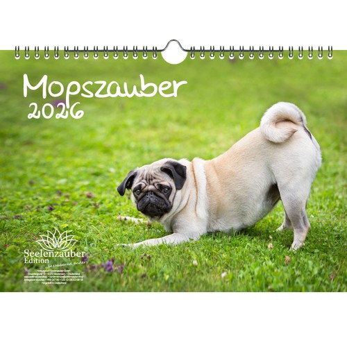 Mopszauber din kalender - mopszauber, a4
