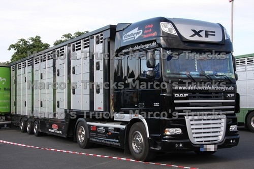 Lkw foto daf 105 - foto, 105.510