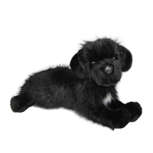 Neufundländer plüsch hund - neufundländer,