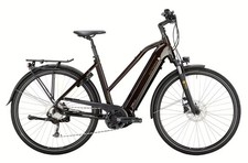 E-Bike Victoria eTrekking
