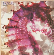 Horse Sweet Thing Vinyl Single