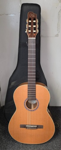 Godin concert nylonsaite - godin,