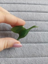 Brosche Jade Nephrit Kranich